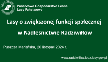 Relacja ze spotkania lokalnej współpracy w Nadleśnictwie Radziwiłłów