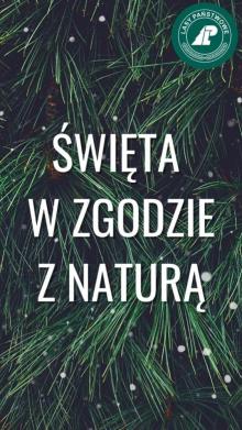 Święta w zgodzie z naturą