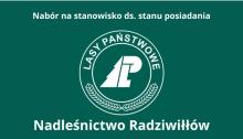 Nadleśnictwo Radziwiłłów ogłasza nabór na stanowisko ds. stanu posiadania