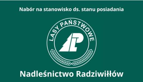 Nadleśnictwo Radziwiłłów ogłasza nabór na stanowisko ds. stanu posiadania
